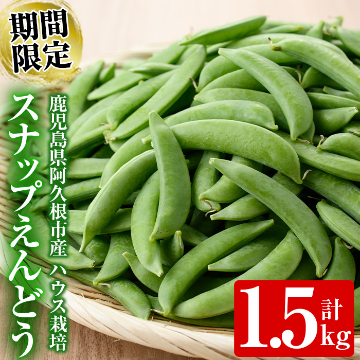 <2025年12月中旬以降順次発送予定>期間限定!スナップえんどう(計1.5kg)国産 鹿児島県産 ハウス栽培 野菜 豆【東新グリーンファーム合同会社】akn062-02鹿児島県阿久根市10000野菜・きのこ豆