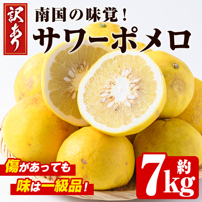 <2026年2月下旬以降発送予定><訳あり・傷あり>数量限定!サワーポメロ(約7kg) 国産 フルーツ 果物 柑橘類 サワーポメロ 甘味 酸味 デザート おやつ 訳あり【なかむら果樹園】akn014-01鹿児