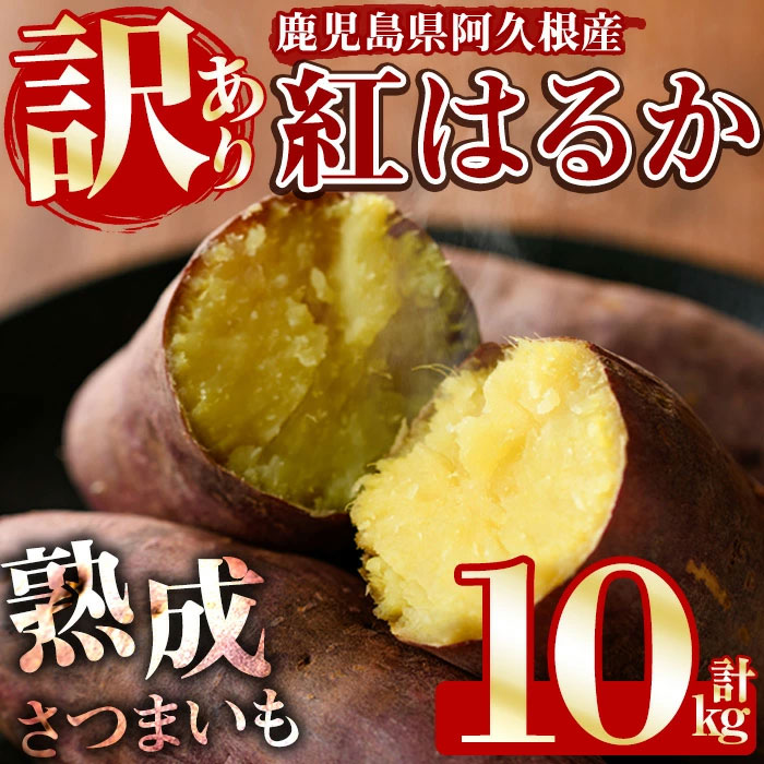 2025N10{ȍ~\聄󂠂IY܂ࢍg͂邩(v10kg) e Y n lߍ킹  ܈ Ĉ Y 召 Ԍ 퉷ۑyЃO