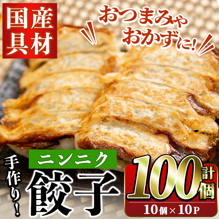 国産豚肉使用!手作りニンニク餃子(計100個・10個×10パック)国産 ギョウザ ぎょうざ お肉 にんにく おかず 惣菜 おつまみ【スーパーよしだ】akn058-06鹿児島県阿久根市12000鍋セット・総菜・加