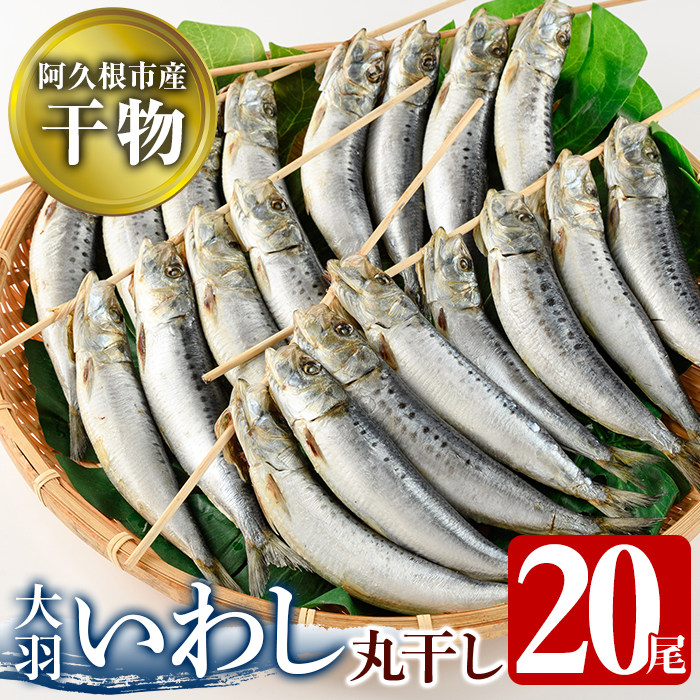 鹿児島県阿久根市産干物!大羽いわし丸干し(20尾)国産 鹿児島県産 魚介 魚貝 海産物 水産加工物 惣菜 簡単調理 セット 小分け【川本商店】akn030-09鹿児島県阿久根市10000魚介・海産物その他