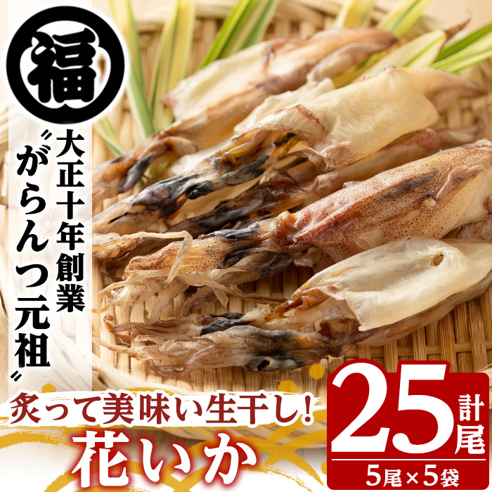 鹿児島県阿久根市産生干し「花いか」(計25尾・5尾×5袋)国産 魚介 干物 ひもの イカ 烏賊 がらんつ干物【マルフク川畑水産】akn029-06鹿児島県阿久根市10000魚介・海産物干物