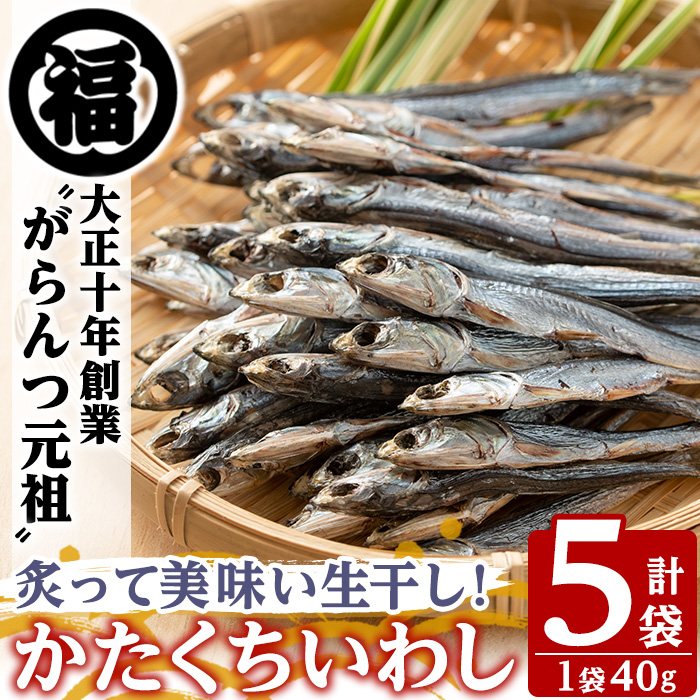 鹿児島県阿久根市産生干し「かたくちいわし」(計5袋・1袋40g)国産 魚介 干物 イワシ 鰯 がらんつ干物【マルフク川畑水産】akn029-08鹿児島県阿久根市10000魚介・海産物干物
