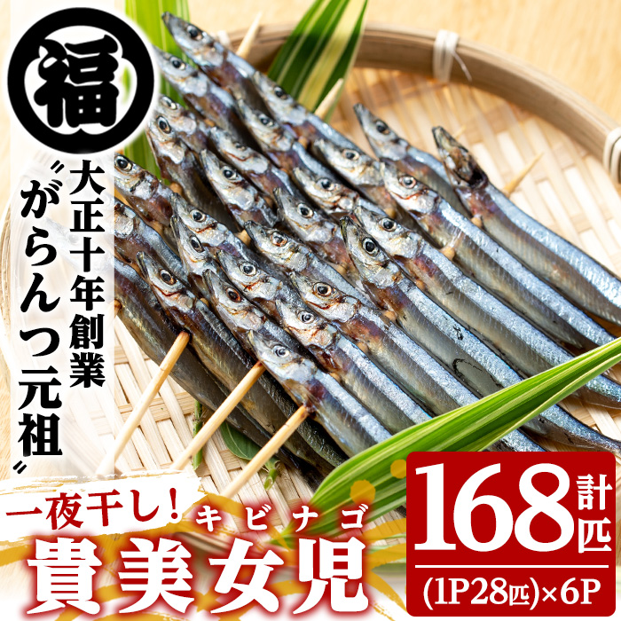 貴美女児一夜干し(計168匹・28匹×6パック)国産 干物 ひもの キビナゴ きびなご 魚介 乾物 おつまみ おかず【マルフク川畑水産】akn029-11鹿児島県阿久根市10000魚介・海産物干物