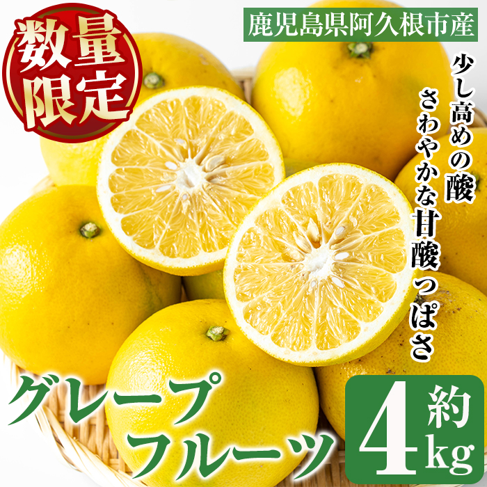 <2026年2月以降順次発送>数量限定!グレープフルーツ(約4kg)国産 果実 果物 フルーツ 柑橘 デザート 期間限定【桐野柑橘株式会社】akn070-04鹿児島県阿久根市10000果物・フルーツみかん・柑橘