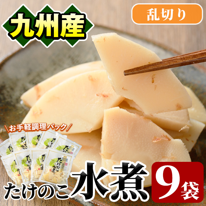 たけのこ水煮乱切り(計630g・70g×9袋)国産 九州産 筍 野菜 使い切り 小分け 個包装【上野食品】akn008-14鹿児島県阿久根市10000野菜・きのこその他 野菜