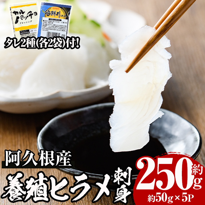 2025N12{ȍ~\聄vY Yqhg(50g×5pbN)Y {B q Ђ  Jpb` CN ^yn`Xzakn074-01vs10000E