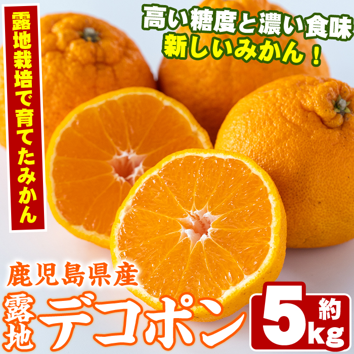 <2026年3月以降順次発送予定>鹿児島県産!露地デコポン(約5kg・15〜24玉) 果物 冬 春 柑橘 みかん 蜜柑 フルーツ 期間限定 数量限定【鹿児島いずみ農業協同組合】akn018-10鹿児島県阿久根市1200
