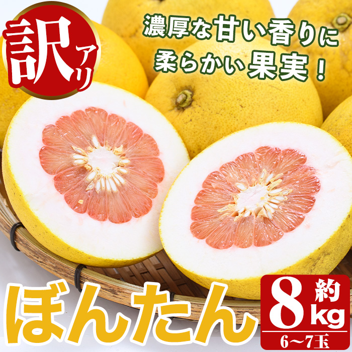 <2025年12月以降順次発送予定>訳あり!数量限定!阿久根産ぼんたん(計8kg・6〜7玉)国産 ボンタン 柑橘 果物 期間限定 文旦 訳アリ 不揃い【あくね旬の店いきいき館】akn015-13鹿児島県阿久