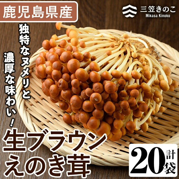 生ブラウンえのき茸(20袋・計3.6kg)国産 エノキ きのこ 茸 キノコ 個包装【三笠えのき茸生産組合】akn010-09鹿児島県阿久根市10000野菜・きのこきのこ