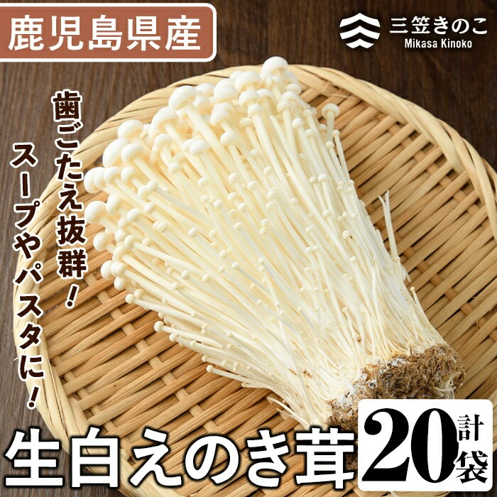 生白えのき茸(20袋・計5kg)国産 エノキ きのこ キノコ 個包装【三笠えのき茸生産組合】akn010-10鹿児島県阿久根市10000野菜・きのこきのこ