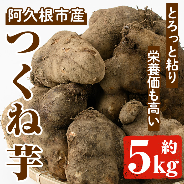 <2025年11月以降順次発送予定>つくね芋(大薯)(約5kg) 鹿児島県 阿久根市 つくね芋 大薯 だいじょ大和芋 山芋 とろろ【松永青果】akn053-12鹿児島県阿久根市10000野菜・きのこじゃがいも・イモ