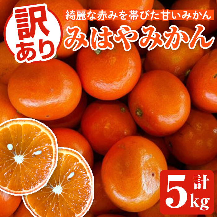 <2025年12月中旬以降順次発送予定>訳ありみはやみかん(計5kg) 国産 フルーツ 果物 蜜柑 柑橘 みかん 訳あり【松永青果】akn053-13鹿児島県阿久根市10000果物・フルーツみかん・柑橘類