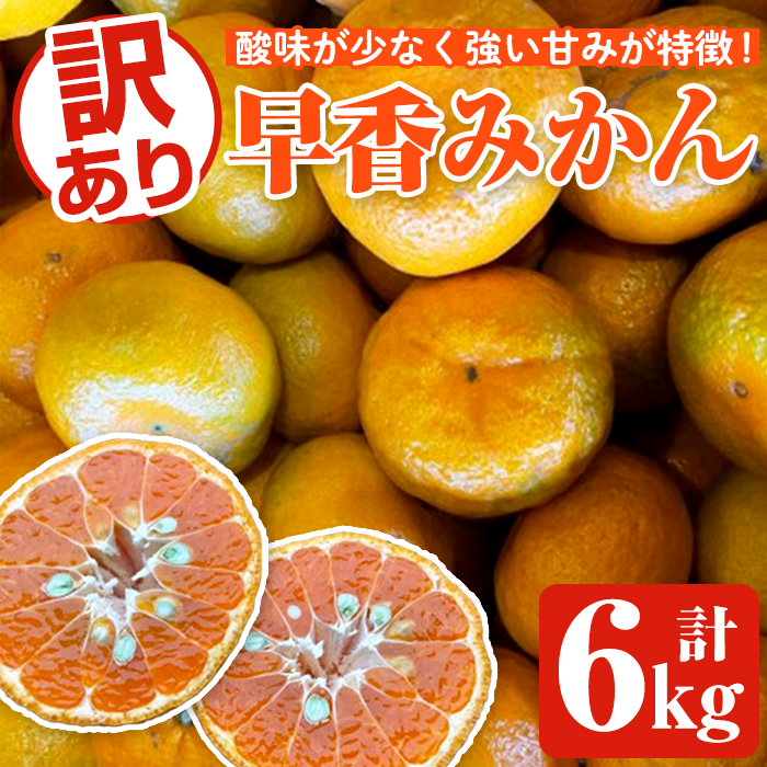 <2025年12月下旬以降順次発送予定>訳あり早香みかん(計6kg) 国産 フルーツ 果物 蜜柑 柑橘 みかん 訳あり【松永青果】akn053-39鹿児島県阿久根市10000果物・フルーツみかん・柑橘類