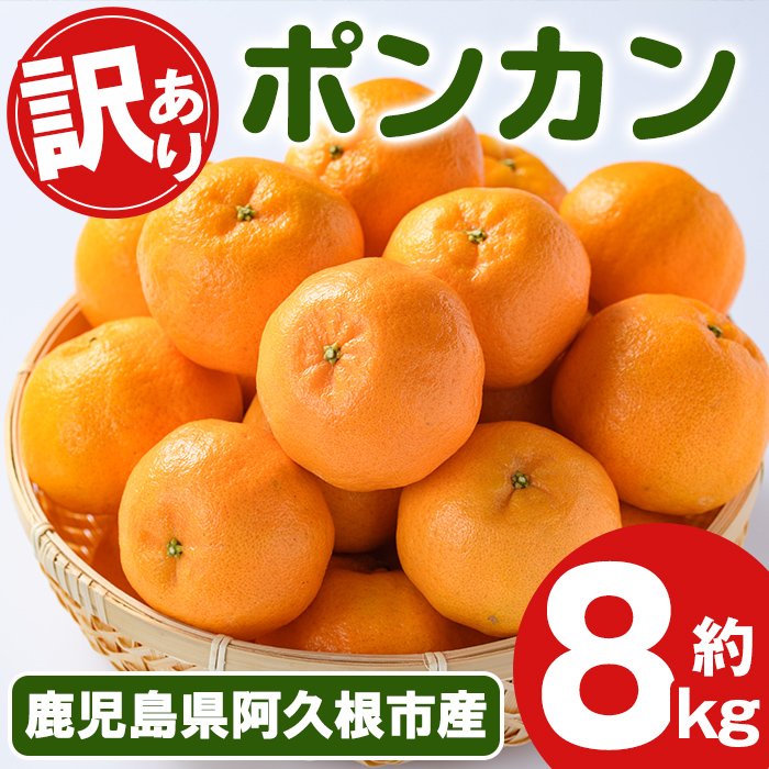 <2025年12月下旬以降順次発送予定>訳あり!ポンカン(約8kg) 国産 ポンカン 柑橘 果物 フルーツ デザート 果実 期間限定 数量限定【古田果樹園】akn093-05鹿児島県阿久根市12000果物・フルーツ