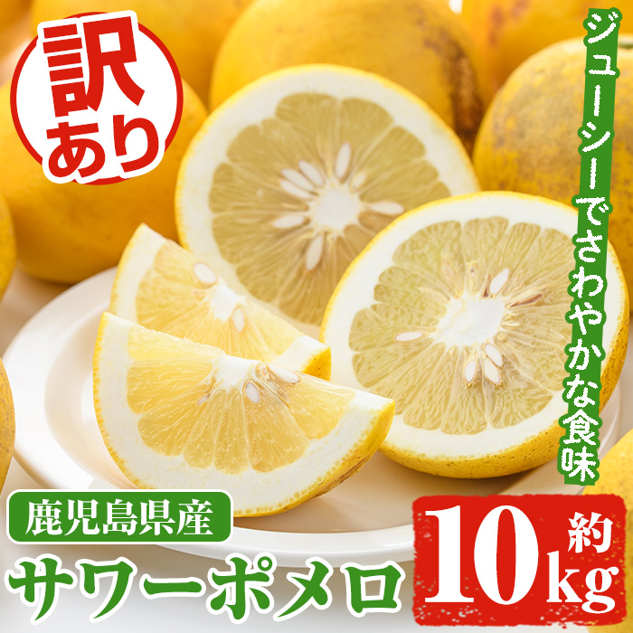 <2026年1月以降順次発送予定>訳ありサワーポメロ(約10kg) 国産 果物 フルーツ 柑橘 甘味 酸味 デザート おやつ【松永青果】akn053-16鹿児島県阿久根市10000果物・フルーツみかん・柑橘類