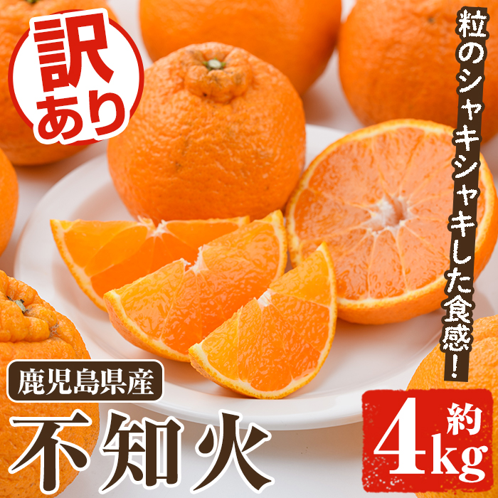 <2026年2月以降順次発送予定>訳あり不知火(約4kg) 国産 鹿児島県産 果物 フルーツ 柑橘 不知火【松永青果】akn053-17鹿児島県阿久根市10000果物・フルーツみかん・柑橘類