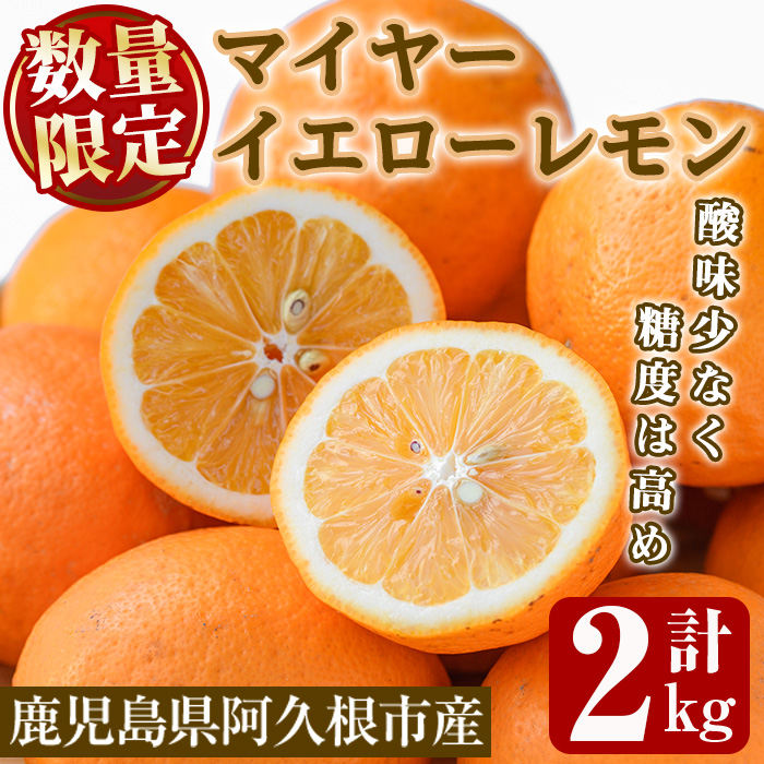 <2025年12月中旬以降順次発送予定>数量限定!露地マイヤーイエローレモン(2kg) 国産 果実 果物 レモン イエローレモン フルーツ 檸檬 柑橘 デザート 期間限定【桐野柑橘株式会社】akn070-10鹿