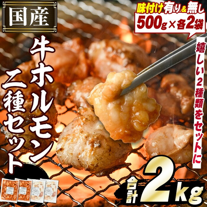 \テレビで紹介されました!/国産牛ホルモン2種セット(合計2kg) 国産 特産品 牛 小腸 味付 パック 詰め合わせ 詰合せ 炒め物 鍋 モツ おかず お弁当【スターゼン】akn031-01鹿児島県阿久根市10