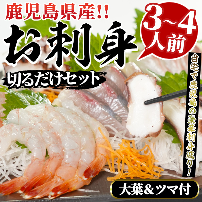 鹿児島県産!お刺身切るだけセット(3人〜4人前)国産 刺し身盛 魚貝 魚介 海産物 刺身 蛸 たこ 海老 エビ かんぱち タイ 簡単調理 おつまみ セット 小分け 個包装【さるがく水産】akn028-05鹿児
