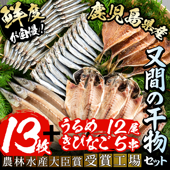 鹿児島県産!干物詰め合わせ(5種)国産 九州産 魚介 ひもの 干物 乾物 鯵 あじ かますな きびなご ウルメ セット 詰合せ【又間水産】akn001-02鹿児島県阿久根市10000魚介・海産物その他 魚介・海