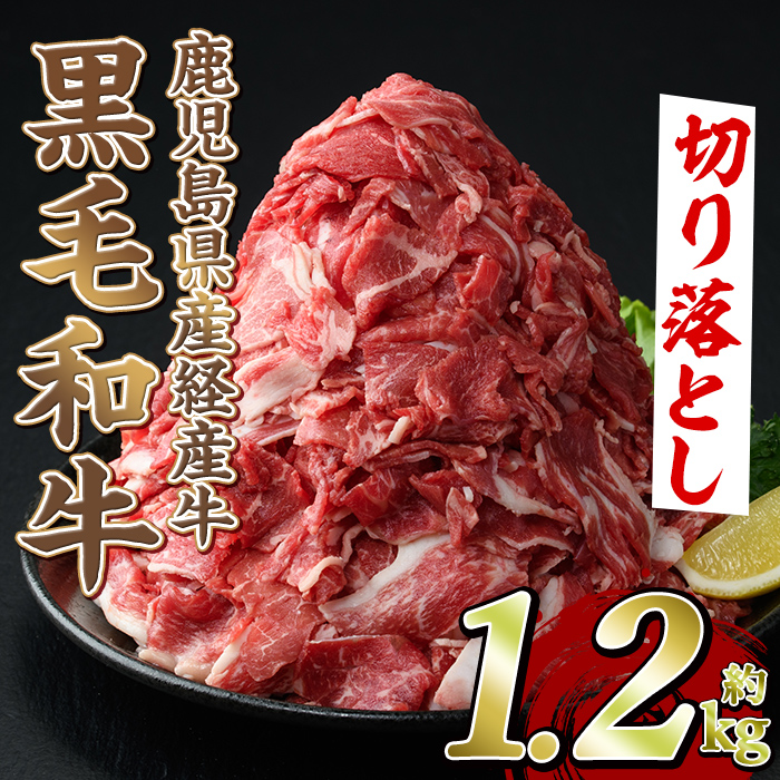黒毛和牛鹿児島県産(経産牛)切り落とし(計1.2kg・600g×2P) 国産 牛肉 肉 冷凍配送 小分け 個包装 セット しゃぶしゃぶ すき焼き バーベキュー BBQ 鍋【スターゼン】akn042-04鹿児島県阿久根市10000