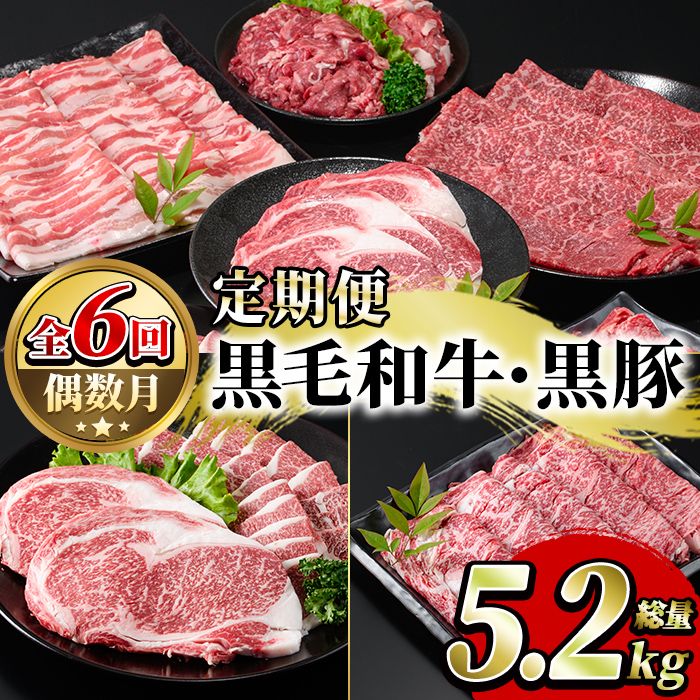 <定期便・全6回(偶数月)>鹿児島県産黒毛和牛・黒豚定期便(総量約5.2kg)国産 九州産 鹿児島産 牛肉 国産牛 豚肉 サーロイン ステーキ 切り落とし 切落し カルビ 焼肉 焼き肉 焼肉セット 黒豚