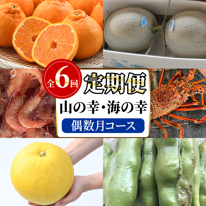 <定期便・全6回(偶数月)>阿久根市の山の幸・海の幸!不知火・そら豆・タカエビ・メロン・伊勢えび・ぼんたんなど)国産 柑橘 みかん フルーツ 果物 魚介 頒布会【松永青果】akn053-38鹿児