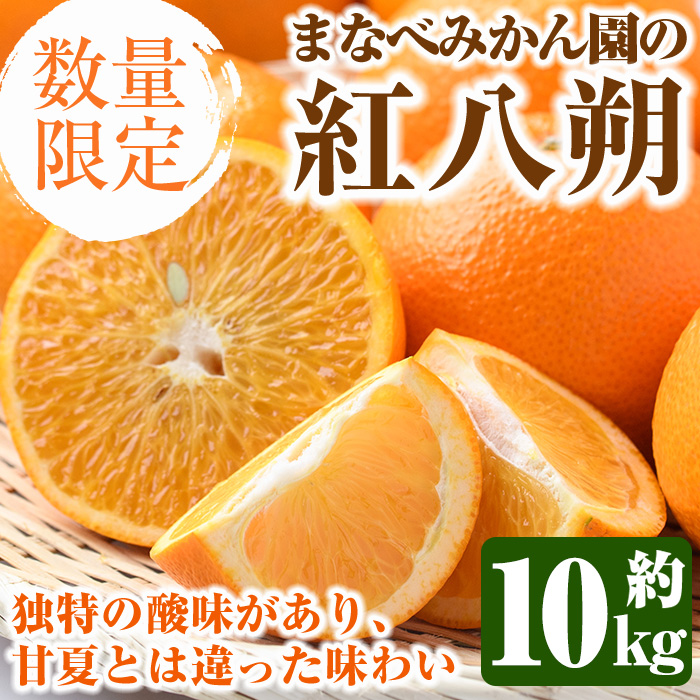 <2026年2月上旬以降順次発送予定>まなべみかん園の紅八朔(約10kg) 国産 鹿児島県産 阿久根市産 柑橘類 みかん ミカン 蜜柑 果物 フルーツ べにはっさく 期間限定 数量限定 贈答用 ギフト デ