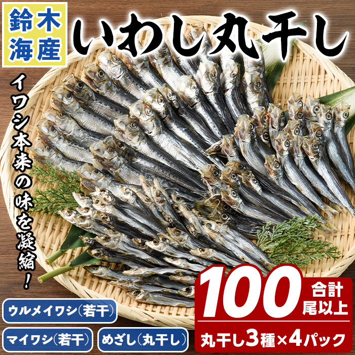 数量限定!イワシ丸干し3点セット(合計100尾以上) 国産 鹿児島県産 阿久根市産 魚 魚介 水産 いわし 鰯 ウルメイワシ うるめいわし めざし マイワシ まいわし 食べ比べ セット 詰め合わせ【