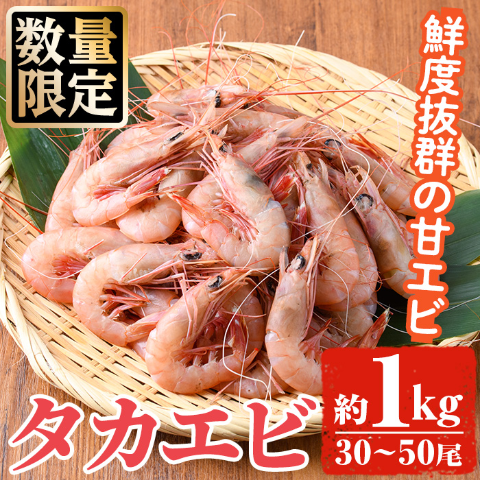 <2026年4月以降順次発送予定>数量限定!タカエビ(約1kg・30〜50尾)国産 えび 海老 海鮮 魚介 甘エビ 甘えび 冷凍 期間限定【松永青果】akn053-23鹿児島県阿久根市12000魚介・海産物エビ