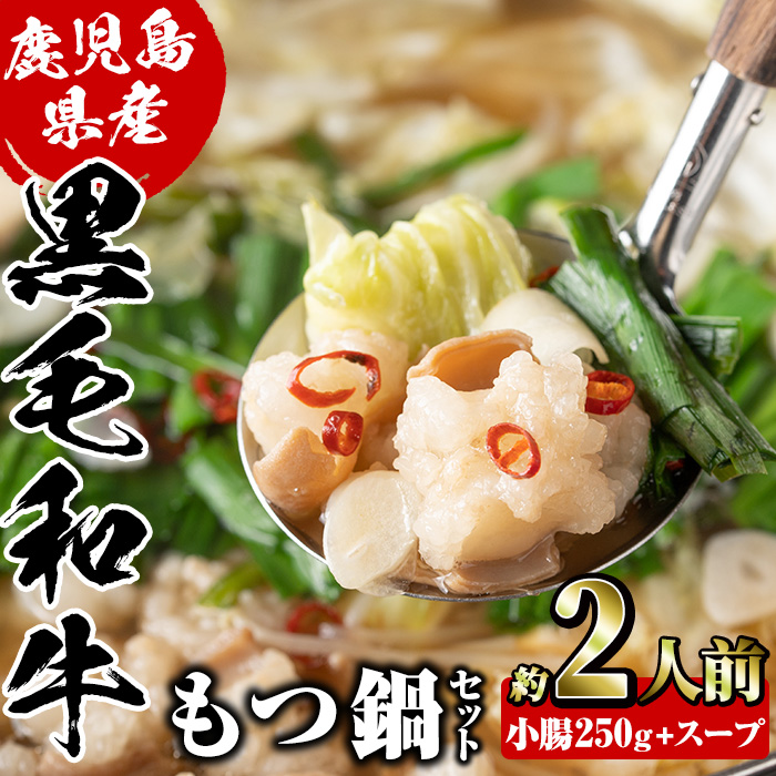 鹿児島県産黒毛和牛小腸使用!もつ鍋セット(約2人前分)国産 モツ モツ鍋 ホルモン 牛肉 出汁 醤油ベース 惣菜 おかず【和食処まきや】akn065-01鹿児島県阿久根市12000肉牛肉