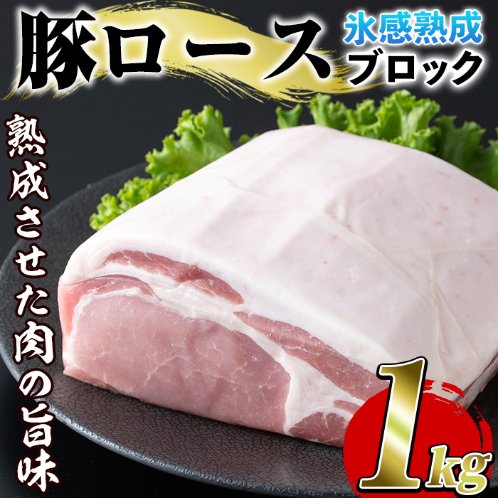 氷感熟成豚ロースブロック(1kg) 肉 豚 豚肉 ロース ブロック ブロック肉【スターゼン】akn031-07鹿児島県阿久根市13000肉豚肉