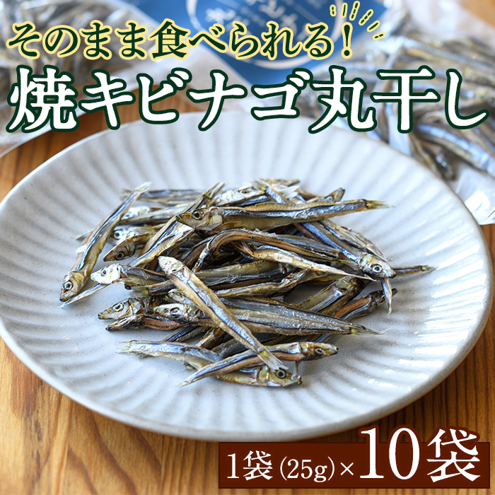 焼キビナゴ丸干し10袋セット(25g×10袋)海産物 きびなご おつまみ おかず【下園薩男商店】akn086-08鹿児島県阿久根市13000魚介・海産物干物