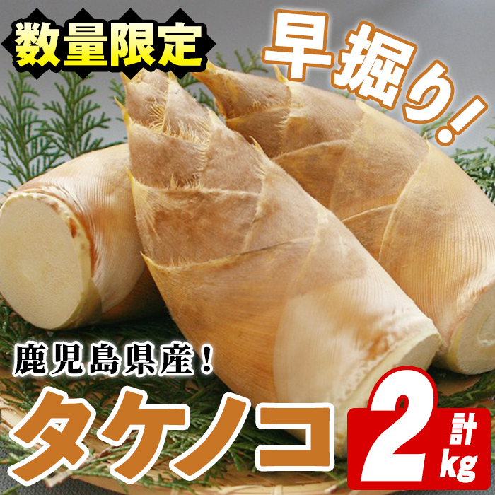 <2026年3月以降順次発送予定>鹿児島県産!早掘りタケノコ(2kg) 国産 野菜 筍 たけのこ 竹 春 野菜 旬【鹿児島いずみ農業協同組合】akn018-23鹿児島県阿久根市15000野菜・きのこその他 野菜