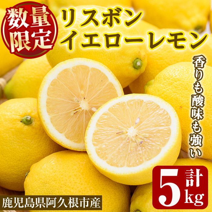<2025年12月中旬以降順次発送予定>数量限定!リスボンイエローレモン(5kg) 国産 果実 果物 リスボンレモン フルーツ 檸檬 柑橘 デザート 期間限定【桐野柑橘株式会社】akn070-15鹿児島県阿久