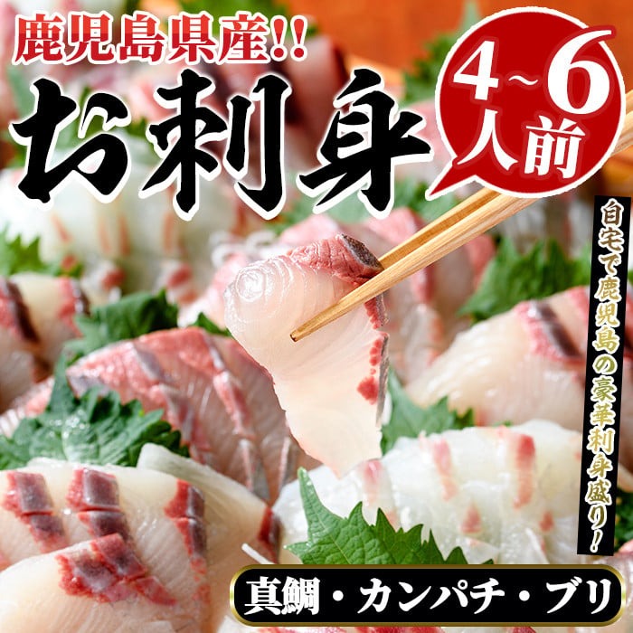 厳選お刺身BOX(4〜6人前) 国産 お刺身 魚貝 魚介 鯛 カンパチ ブリ 海産物 刺身 おつまみ セット 【さるがく水産】akn028-16鹿児島県阿久根市19000魚介・海産物その他 魚介・海産物
