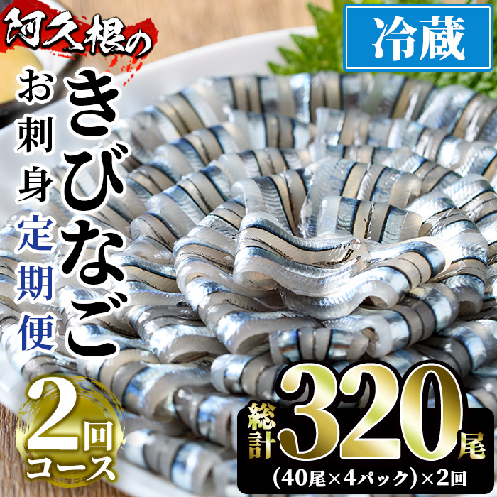 <定期便・全2回(冷蔵便)>鹿児島県産!阿久根のきびなごお刺身セット(40尾×4P×2回)国産 魚介 おつまみ おかず 頒布会 青魚 子魚 小分け【椎木水産】akn054-10鹿児島県阿久根市20000魚介・海産