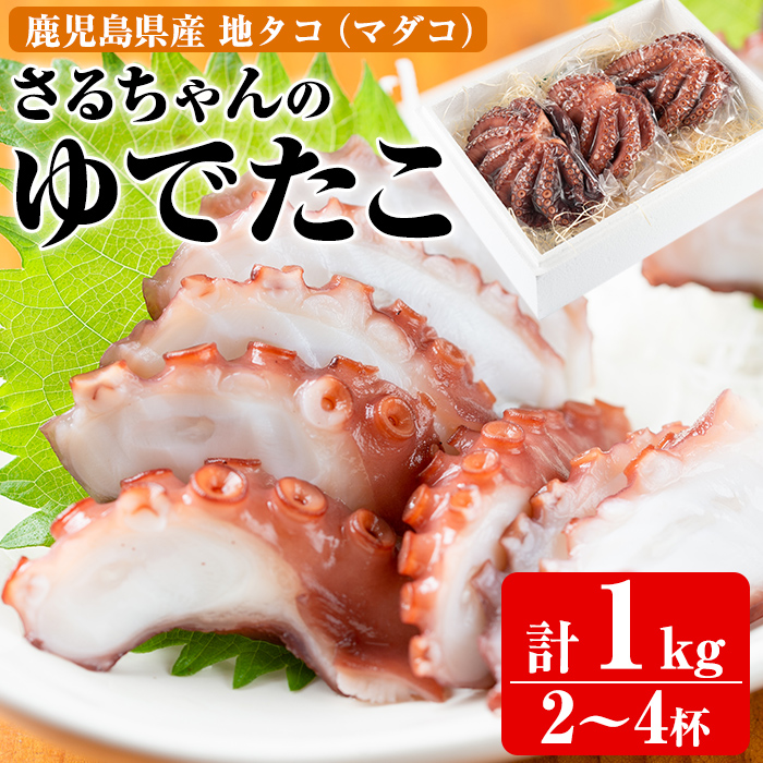 鹿児島県産地たこのゆでたこ(計1kg) 阿久根市 国産 九州産 特産品 新鮮 地ダコ タコ 魚介 魚貝 海産物 海鮮 蛸 味付 刺身 磯辺焼き たこ焼き 唐揚げ 料理 おかず お弁当【さるがく水産】akn028-1