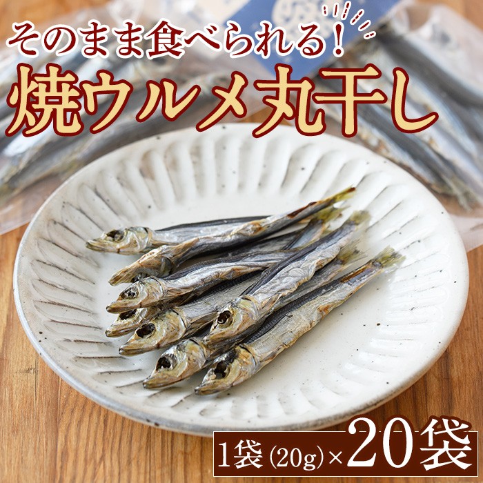 焼ウルメ丸干し20袋セット(20g×20袋)海産物 いわし 鰯 ウルメイワシ おつまみ おかず【下園薩男商店】akn086-14鹿児島県阿久根市28000魚介・海産物干物