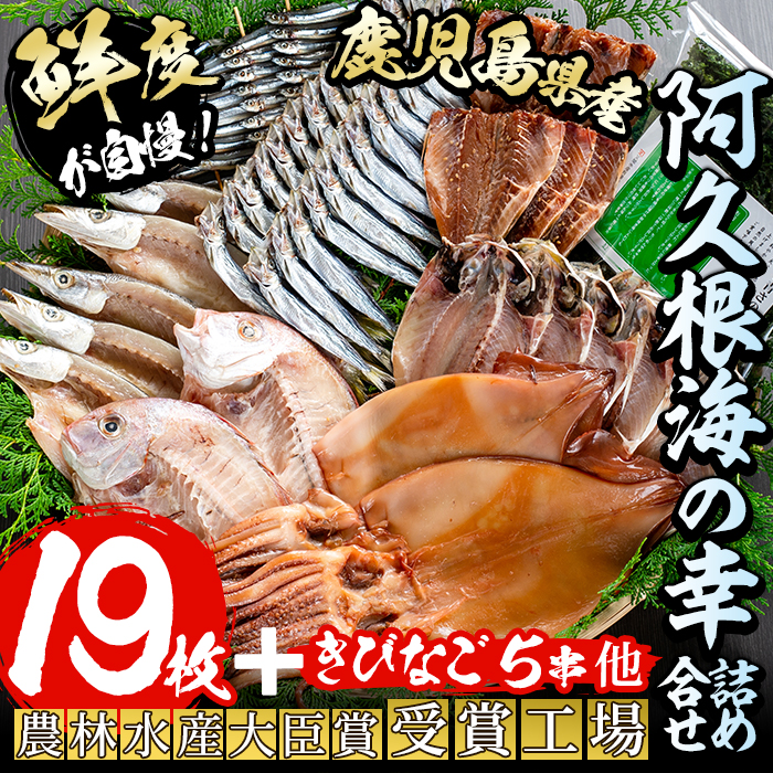 鹿児島県産!干物詰め合わせ<8種>国産 九州産 鹿児島産 干物 ひもの 乾物 鯛 タイ 鯵 アジ かます いか きびなご ウルメ あおさのり セット 詰合せ【又間水産】akn001-06鹿児島県阿久根市30