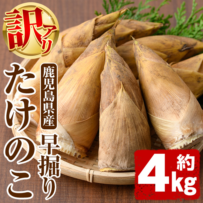 <2025年11月以降順次発送予定>訳あり!鹿児島県産 早掘りたけのこ(約4kg) 国産 野菜 たけのこ タケノコ 筍 旬 煮物 水煮 天ぷら つくだ煮【松永青果】akn053-35鹿児島県阿久根市37000野菜・きの