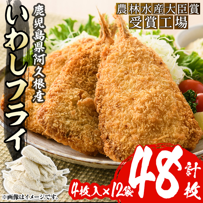 数量限定!鹿児島県産あくねのいわしフライ(計48枚・4枚入×12袋)国産 加工品 惣菜 揚げ物 セット 詰め合わせ おつまみ おかず 魚介【又間水産】akn001-11鹿児島県阿久根市19000魚介・海産物