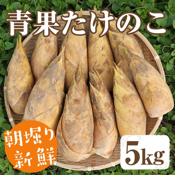 【土日祝着】<2026年2月下旬以降順次発送予定>朝堀り青果たけのこ(約5kg) 国産 新鮮 タケノコ 青果 竹の子 筍 野菜 春 旬 期間限定【上野食品】akn008-20-B鹿児島県阿久根市30000野菜・きのこそ