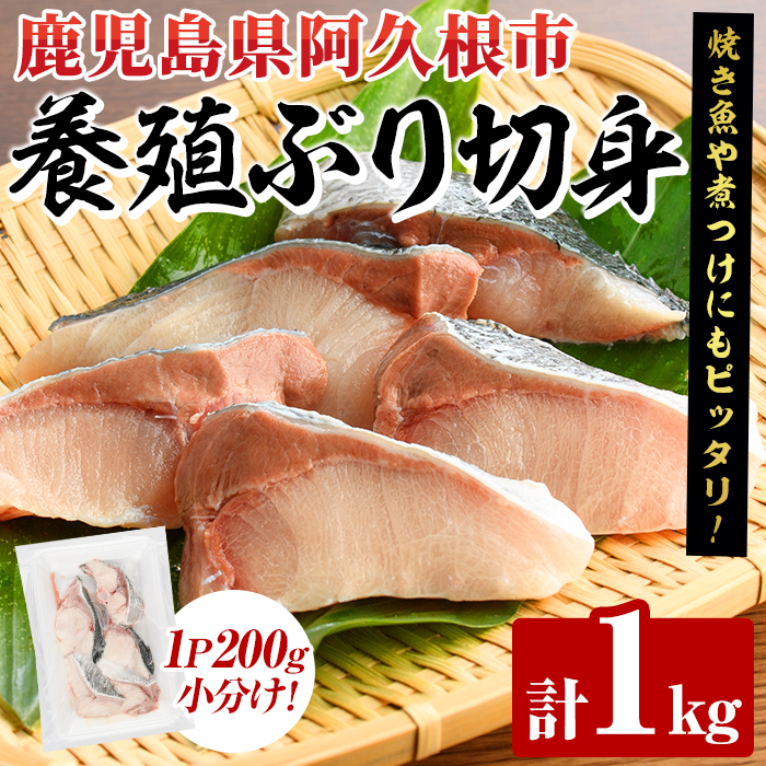 養殖ぶり切身(約1kg) 鹿児島県 阿久根市 ブリ ぶり 鰤 魚貝 魚介 海産物 切身 切り身 煮物 煮つけ 焼き魚 おかず おつまみ 小分け 【さるがく水産】akn028-44鹿児島県阿久根市10000魚介・海産物そ