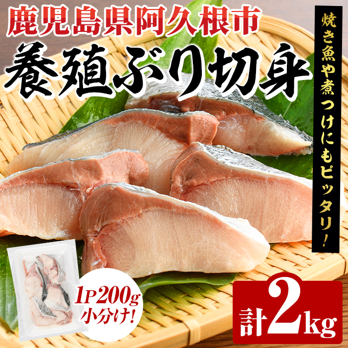 養殖ぶり切身(約2kg) 鹿児島県 阿久根市 ブリ ぶり 鰤 魚貝 魚介 海産物 切身 切り身 煮物 煮つけ 焼き魚 おかず おつまみ 小分け 【さるがく水産】akn028-45鹿児島県阿久根市20000魚介・海産物そ
