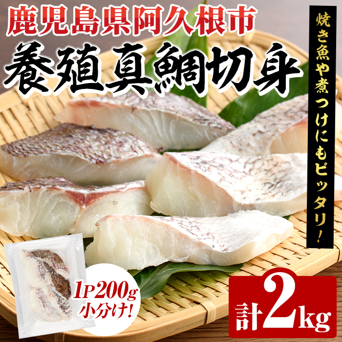 養殖真鯛切身(約2kg) 鹿児島県 阿久根市 たい タイ 真鯛 魚貝 魚介 海産物 切身 切り身 煮物 煮つけ 焼き魚 おかず おつまみ 小分け 【さるがく水産】akn028-47鹿児島県阿久根市20000魚介・海産物