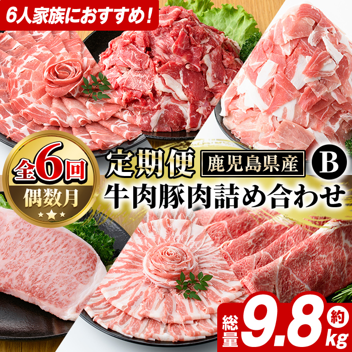 <定期便・全6回(偶数月)>6人家族用!鹿児島県産 牛肉・豚肉 詰め合わせ B (総量9.8kg) 国産 黒豚 しゃぶしゃぶ 肩 ロース スライス 訳あり 切り落とし 黒毛和牛 サーロイン ステーキ 黒豚 バ