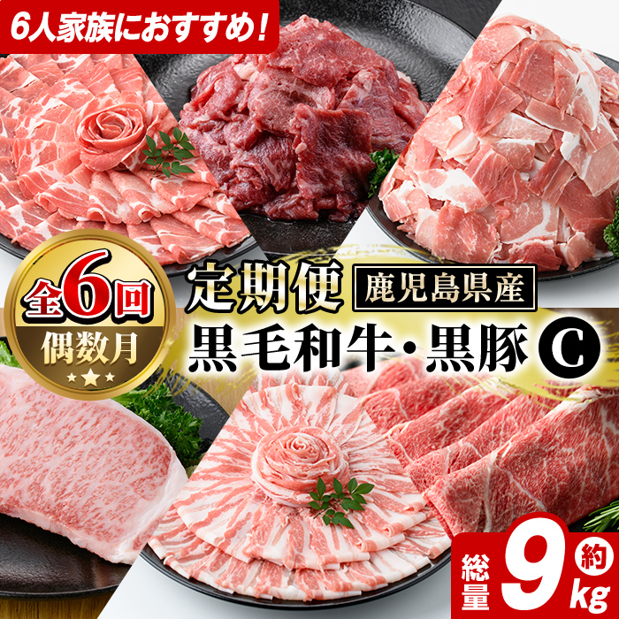 <定期便・全6回(偶数月)>6人家族用!鹿児島県産 黒毛和牛・黒豚 定期便 C (総量約9kg) 国産 黒豚 しゃぶしゃぶ 肩 ロース スライス 訳あり 切り落とし 黒毛和牛 サーロイン ステーキ 黒豚 バ