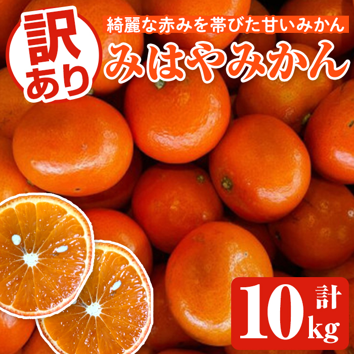 <2025年12月中旬以降順次発送予定>訳ありみはやみかん(計10kg) 国産 フルーツ 果物 蜜柑 柑橘 みかん 訳あり【松永青果】akn053-42鹿児島県阿久根市20000果物・フルーツみかん・柑橘類